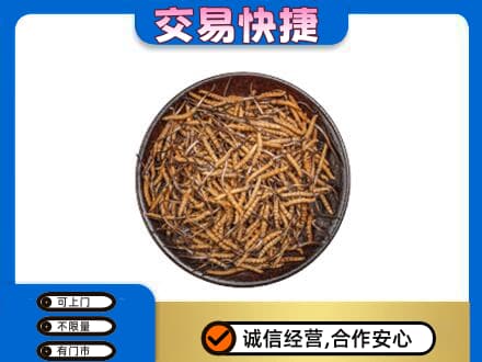 承德市回收散虫草